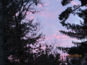 Stepping outside on a Sunday morning and being greeted with a lovely pink sky as the sun made it's presence known!